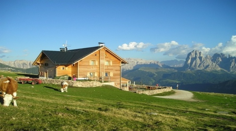 ANM'S Farm